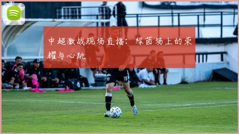 中超激战现场直播:绿茵场上的荣耀与心跳