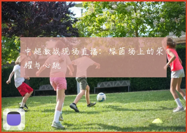 中超激战现场直播：绿茵场上的荣耀与心跳